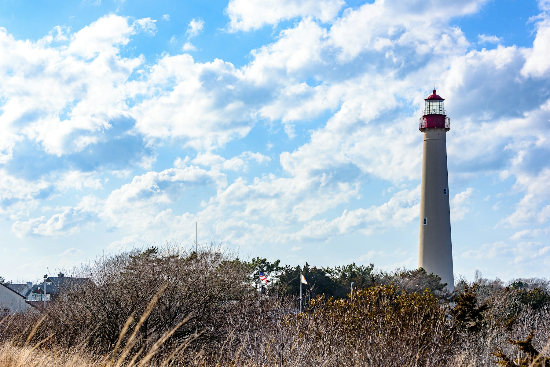 新泽西Cape May Point State Park白色灯塔、红色灯室与海岸灌木实景