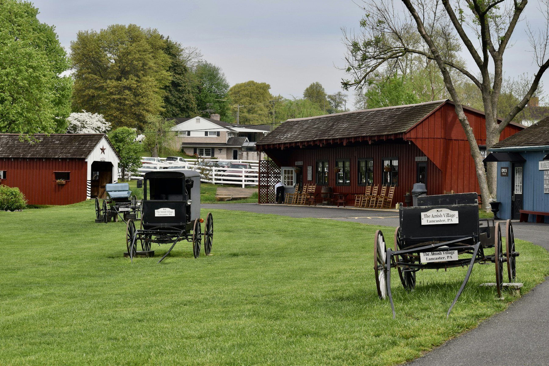宾夕法尼亚兰卡斯特The Amish Village草地上的传统黑色马车与红色农舍实景