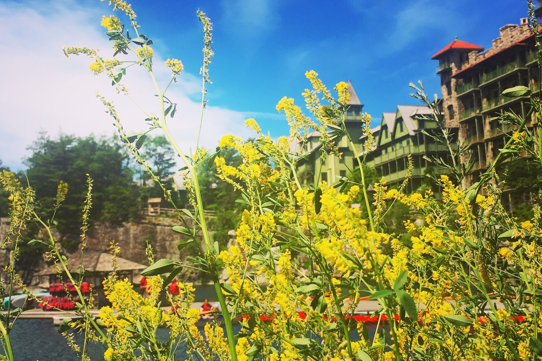 Mohonk Mountain House湖畔酒店建筑、花园与夏季花卉实景