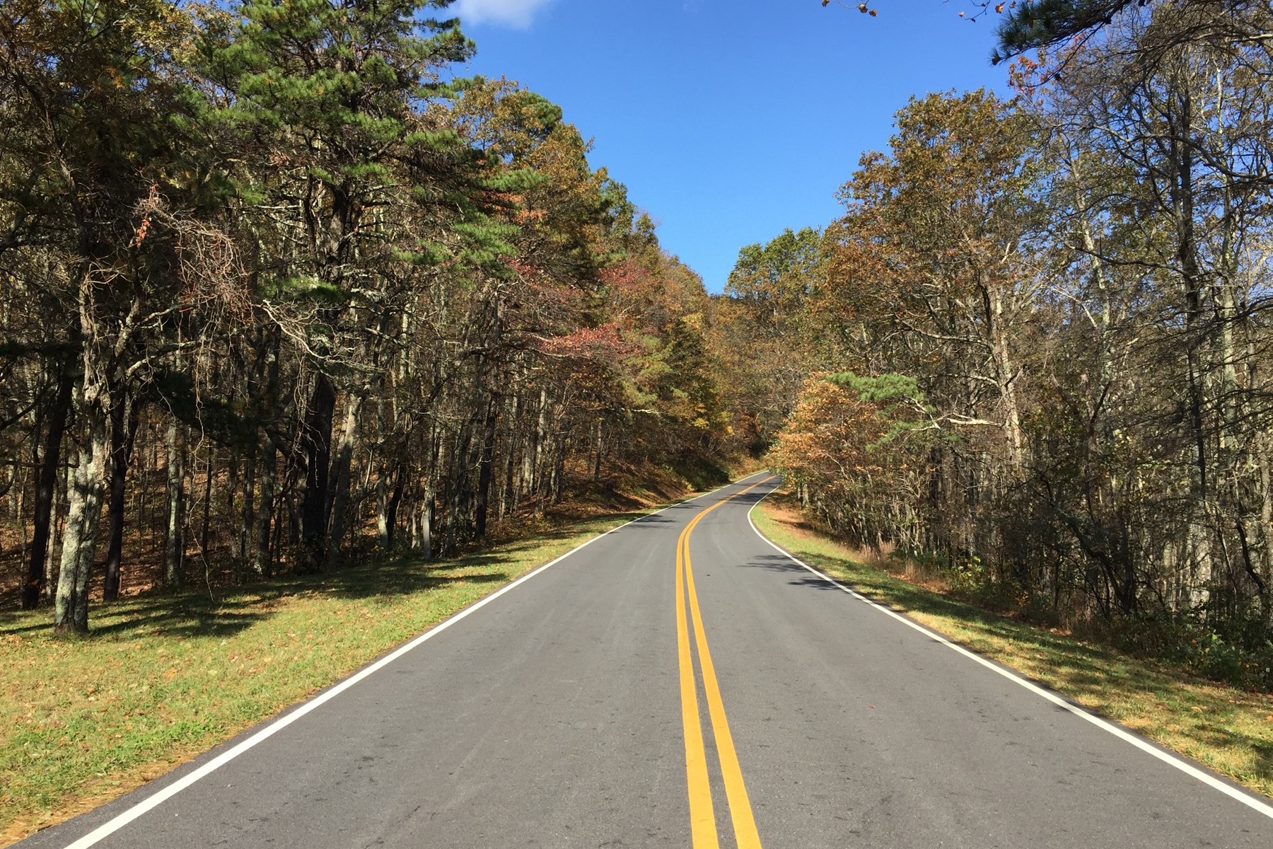 弗吉尼亚州Shenandoah国家公园Skyline Drive秋季山林弯道实景